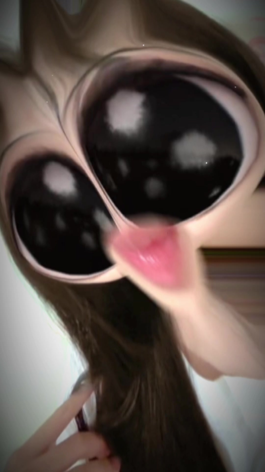 @芝麻🐭🍮