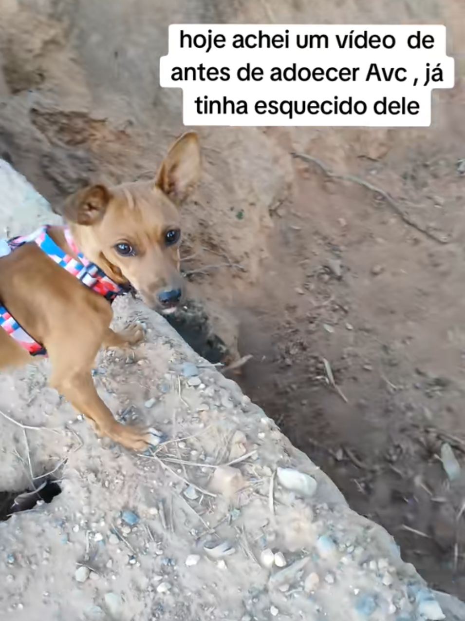 @Belinha e tiamara