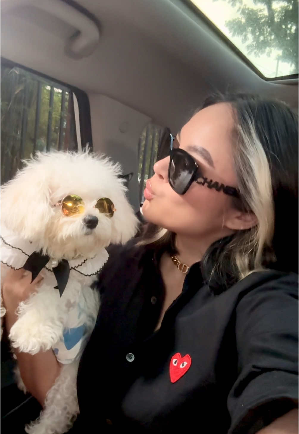 @CUCCI THE BICHON