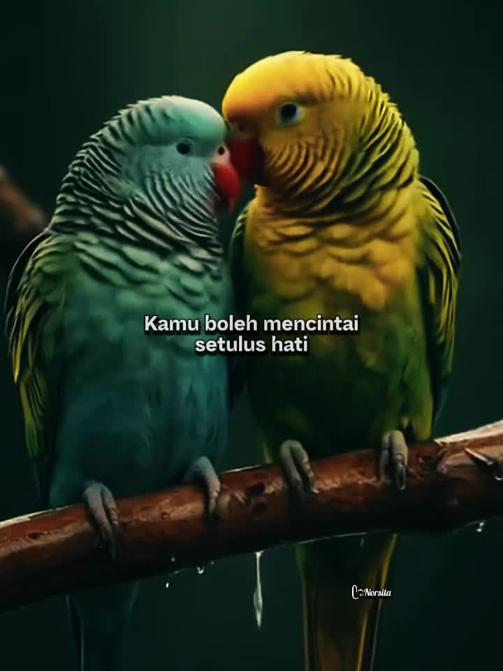 @ᥫ᭡ᴄᴇᴏ_ᴏғ_sᴛᴏʀʏ