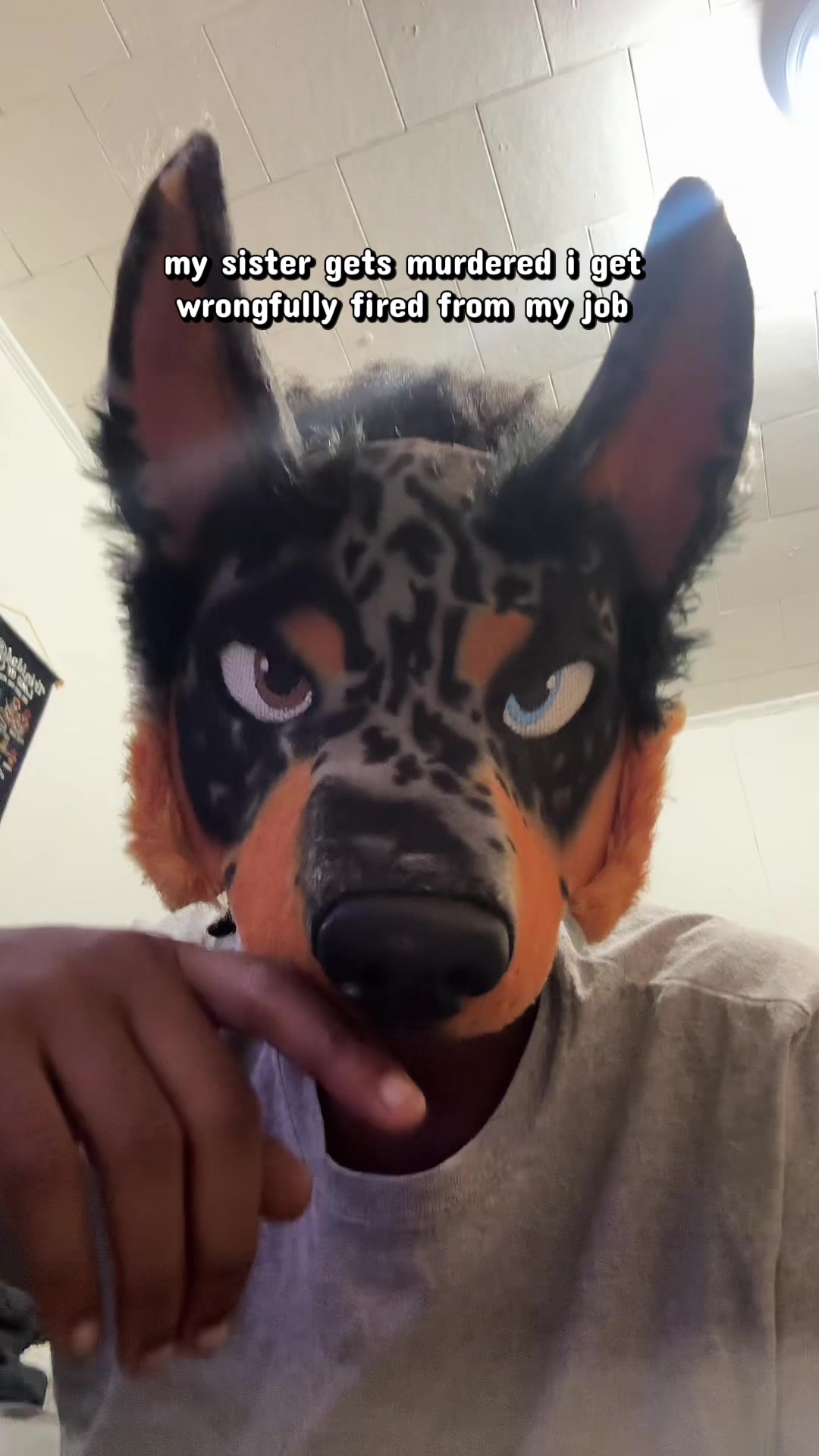 @🐾🪐🕷 Altair 🕸🚬🐾