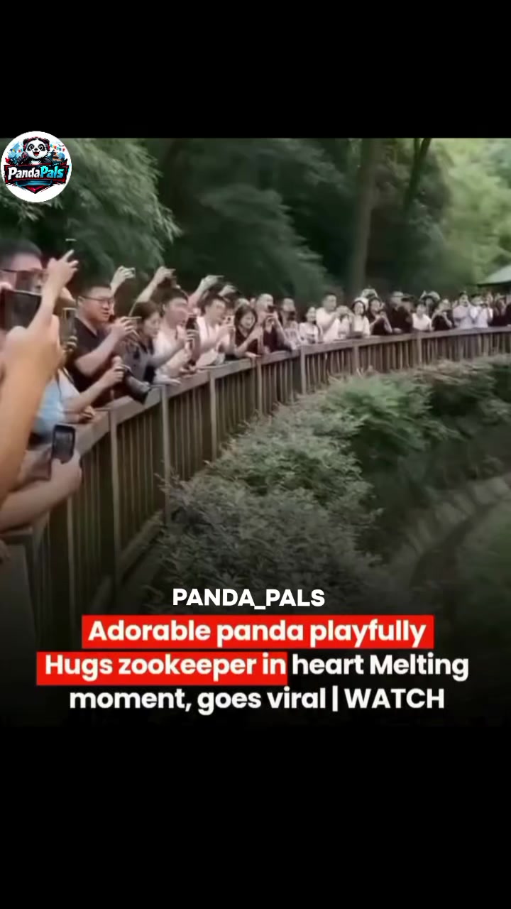 @PandaPals