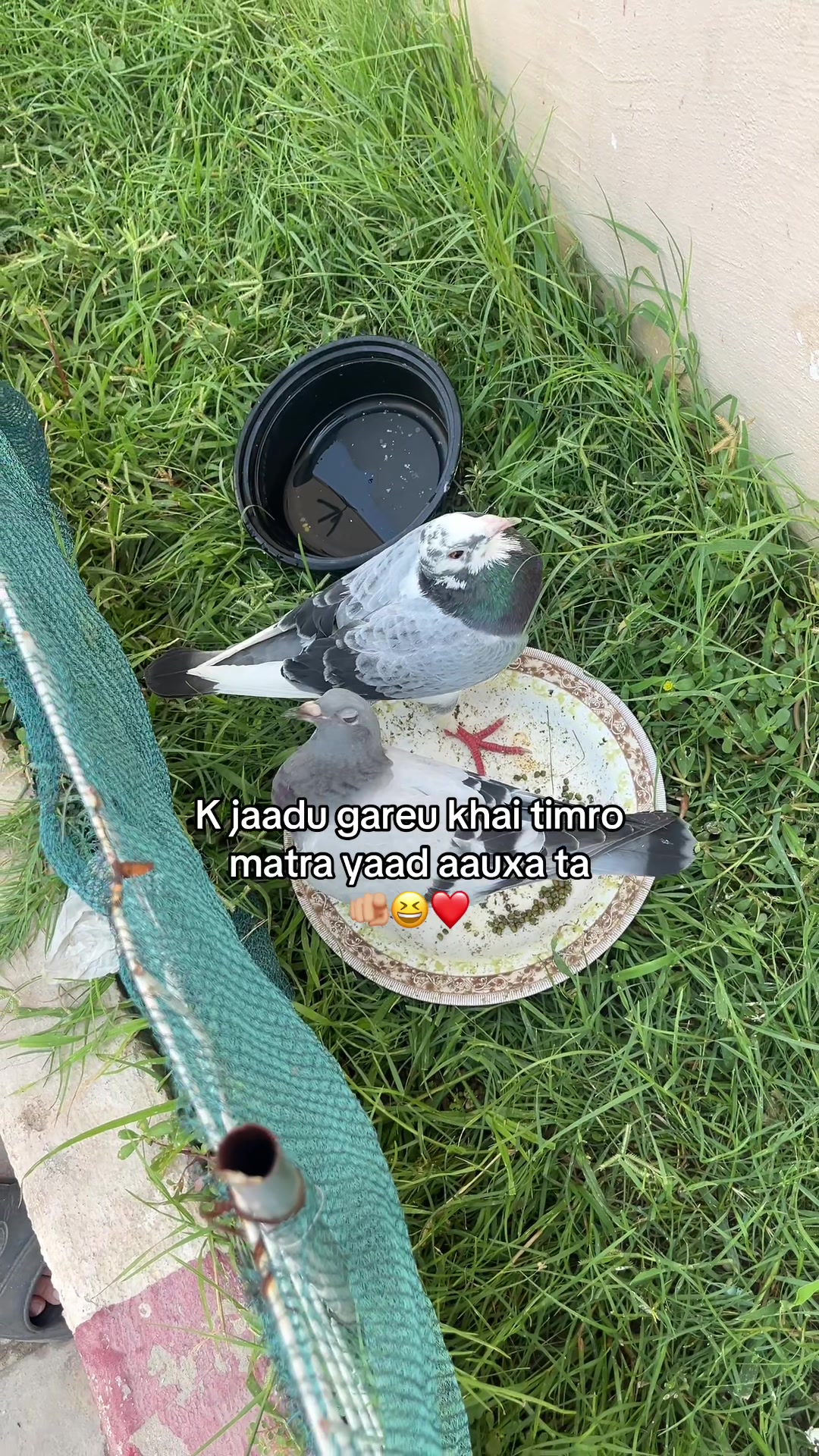 @Birendra gharti ❤️🩹💐
