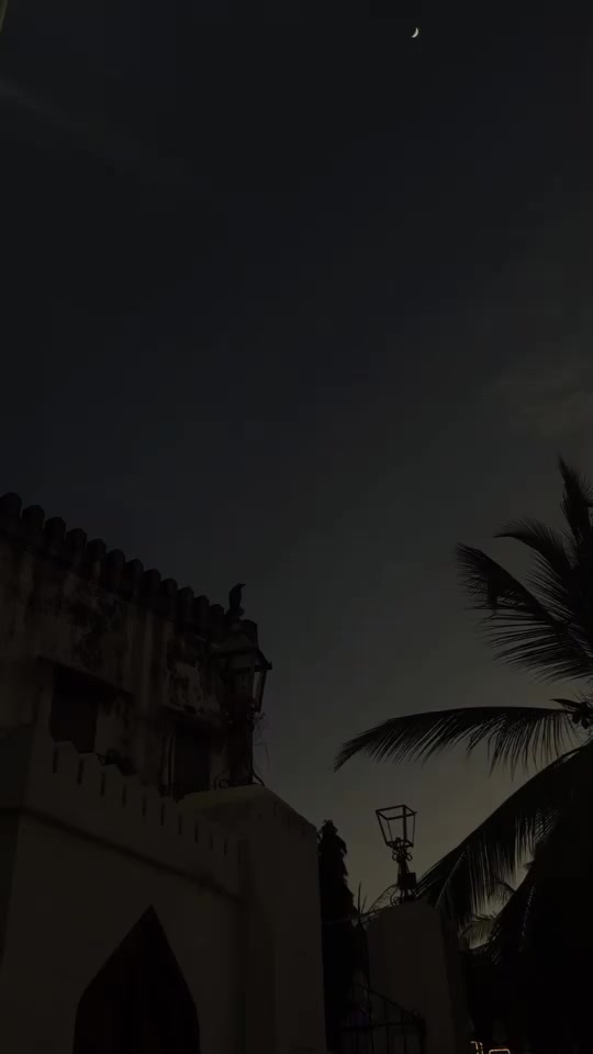 @Sαʅ Mαɳ 🥀