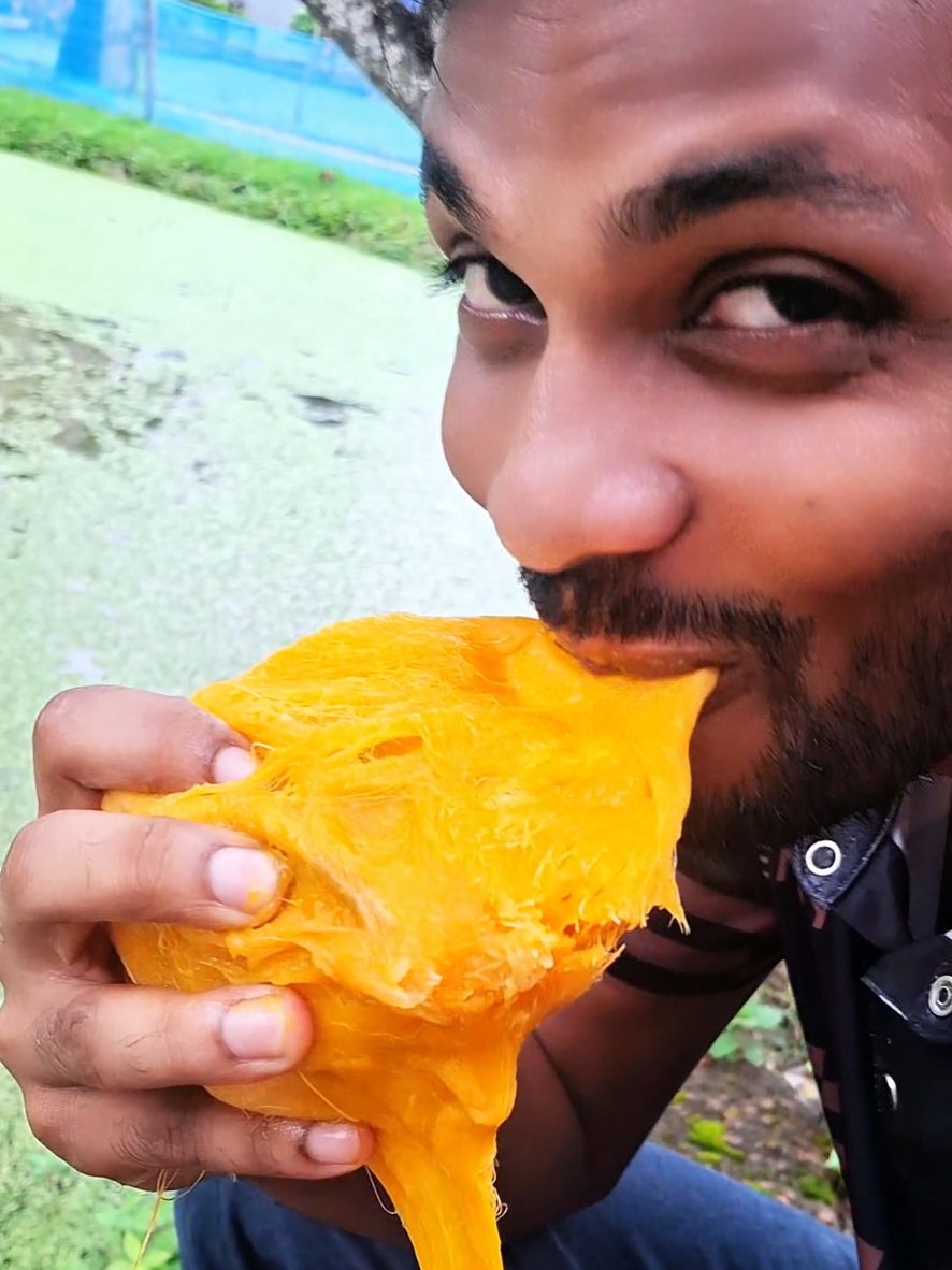 @আলমগীর ভাই