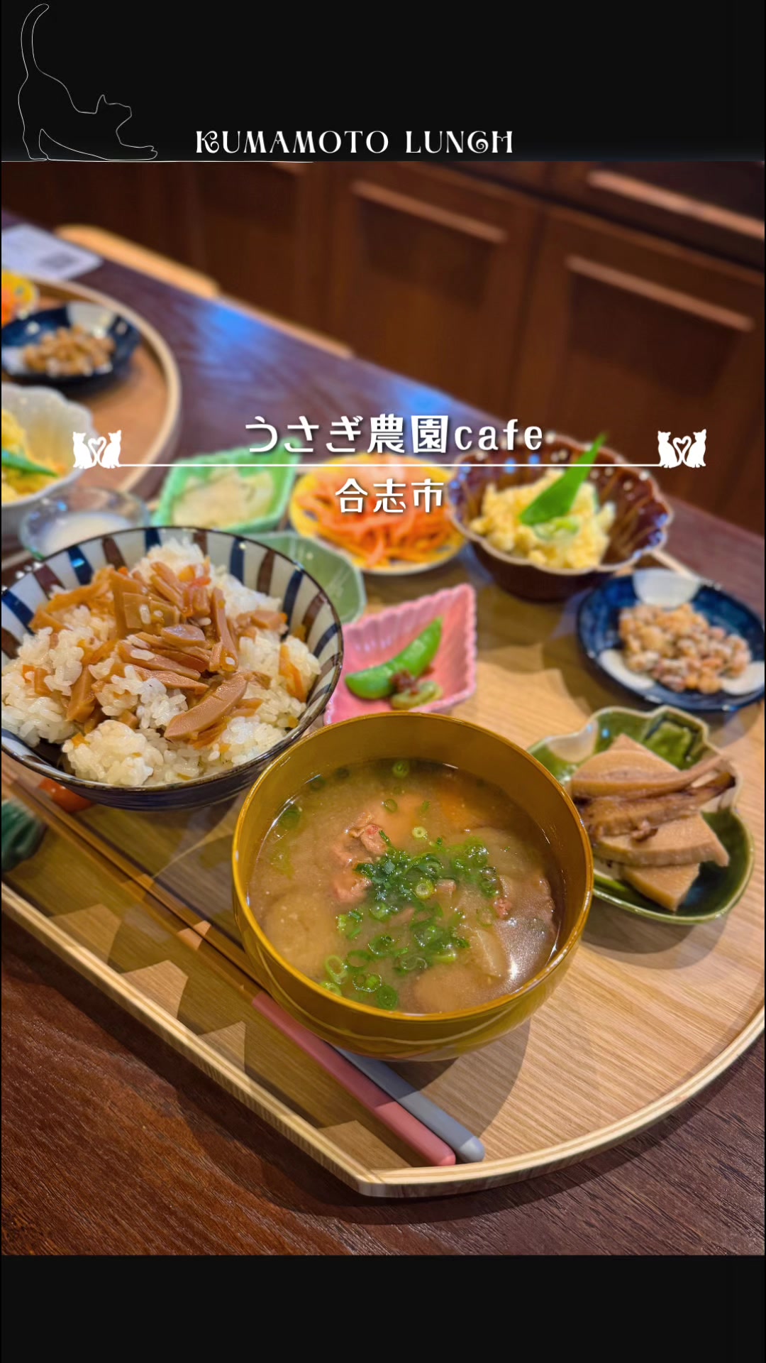 @まゆ猫