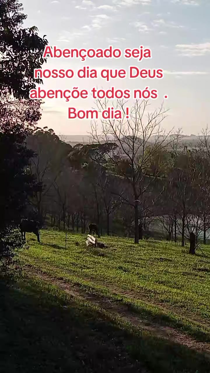 @Marlusa Ferreira Moreira