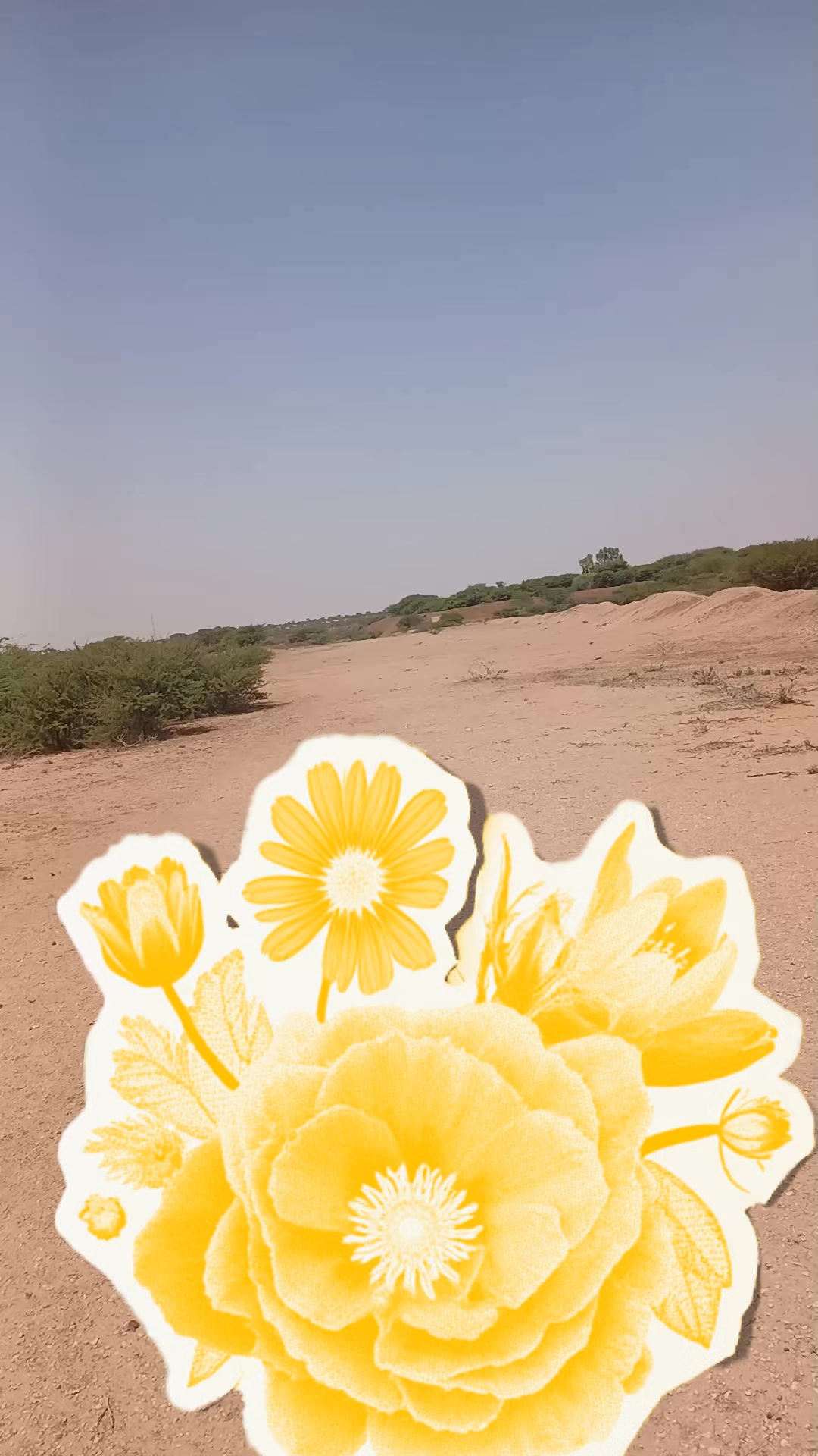 @umu sundus