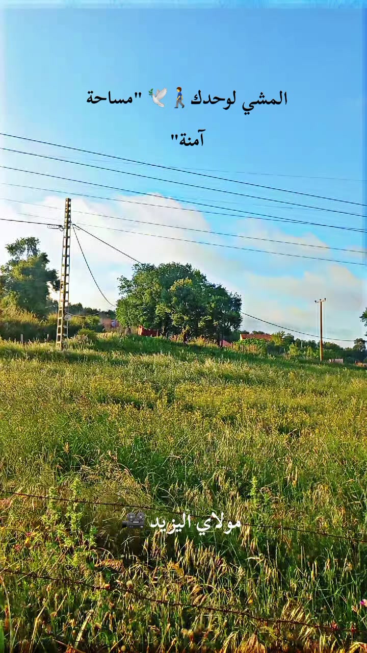 @مولاي اليزيد