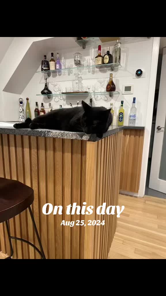@Oscar Jeremy the cat!