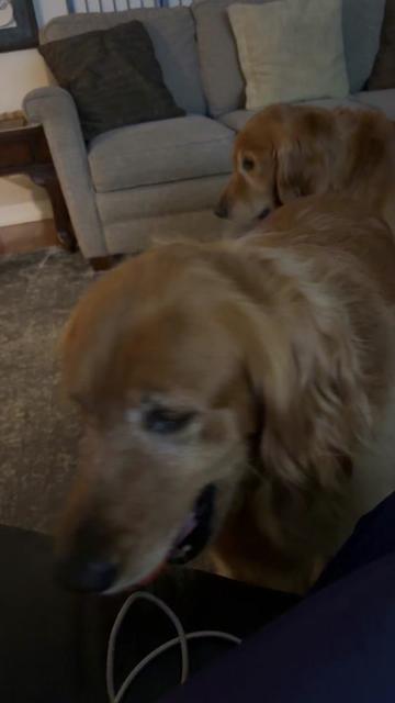 @Kayleigh Cooper & Penny