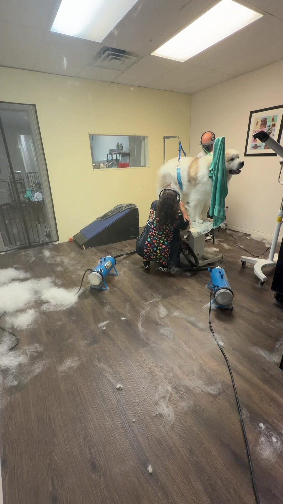 @DIRTY.PAWS.PETSALON