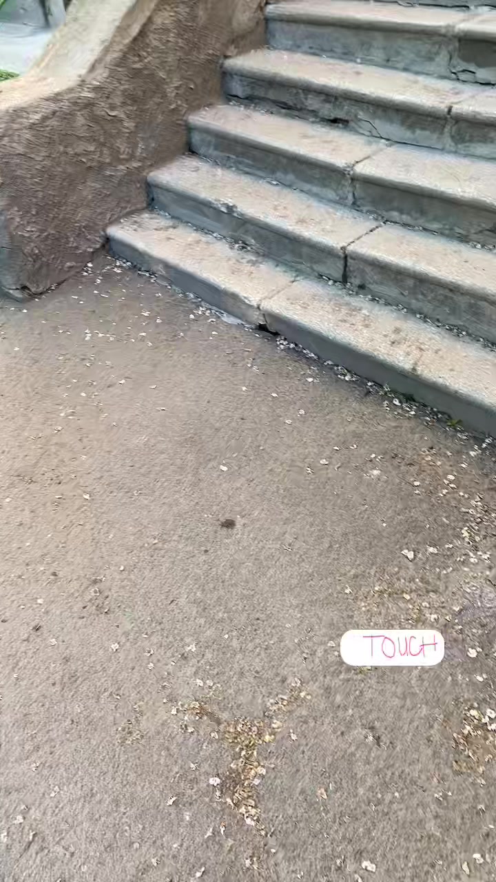 @bojkor24