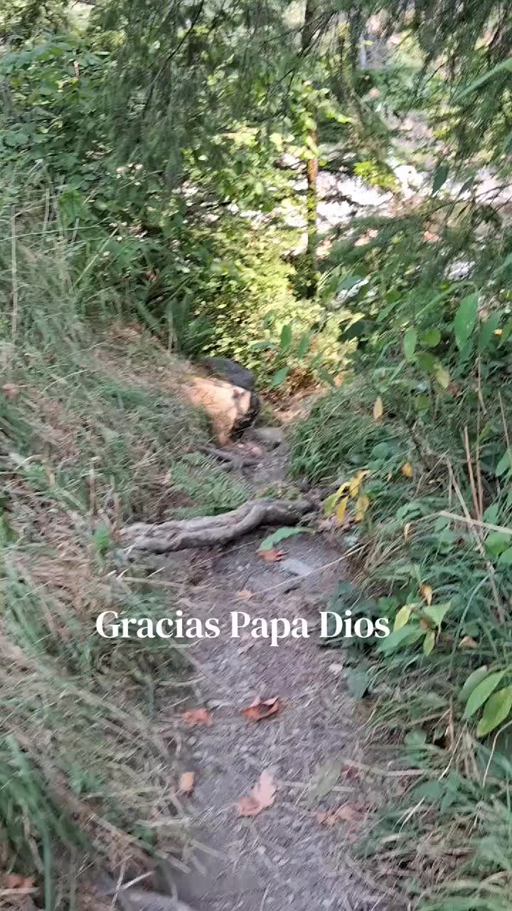 @Dgo 🦂 🦂 🇺🇸 .