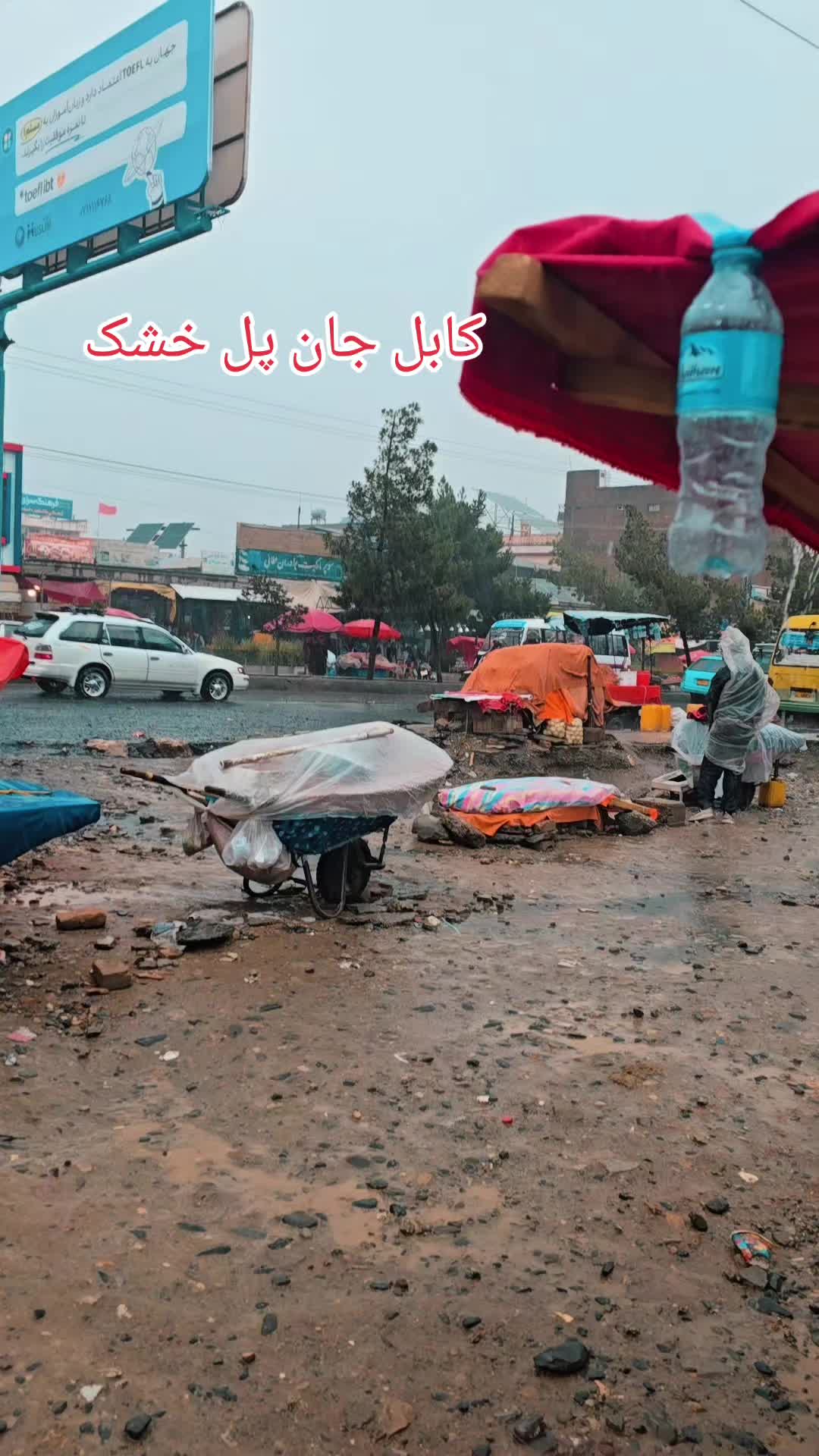 @saba_official_9