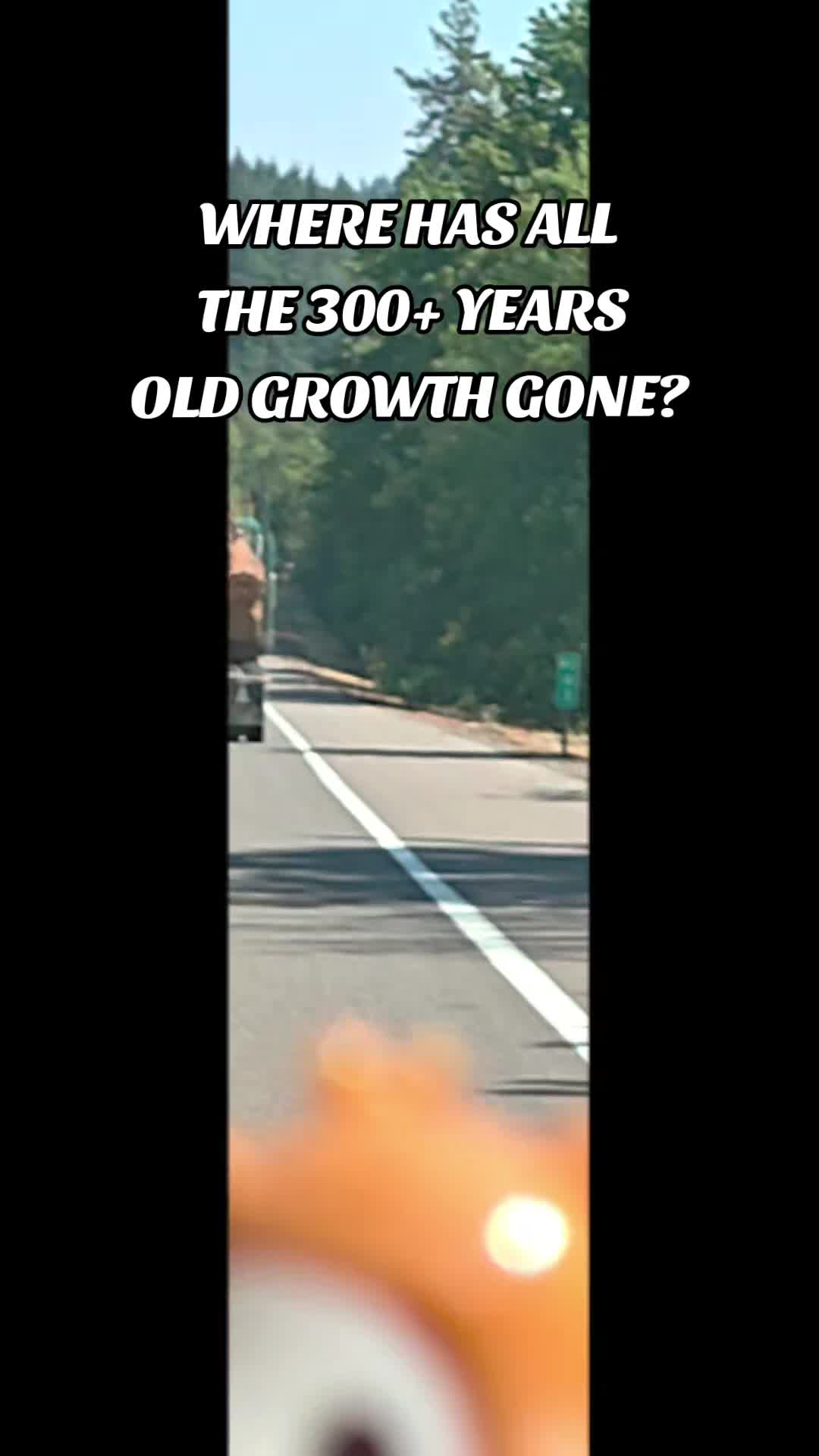 @Li