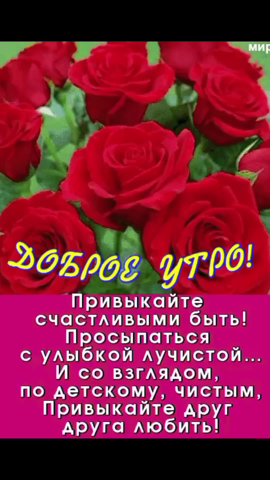 @Дракоша