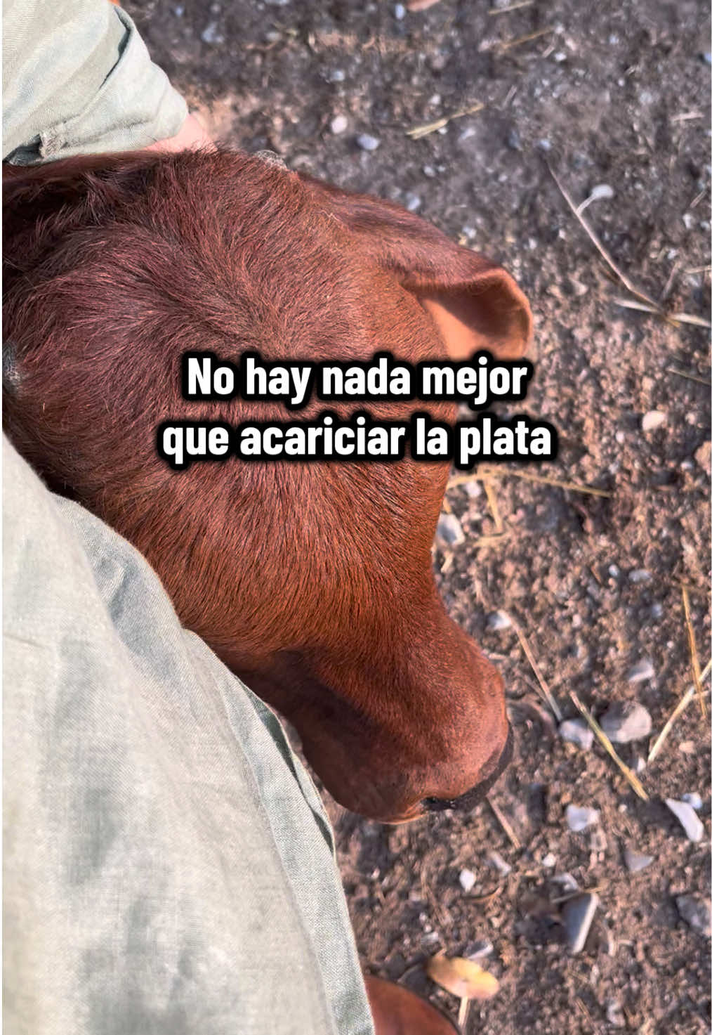 @CITTEM