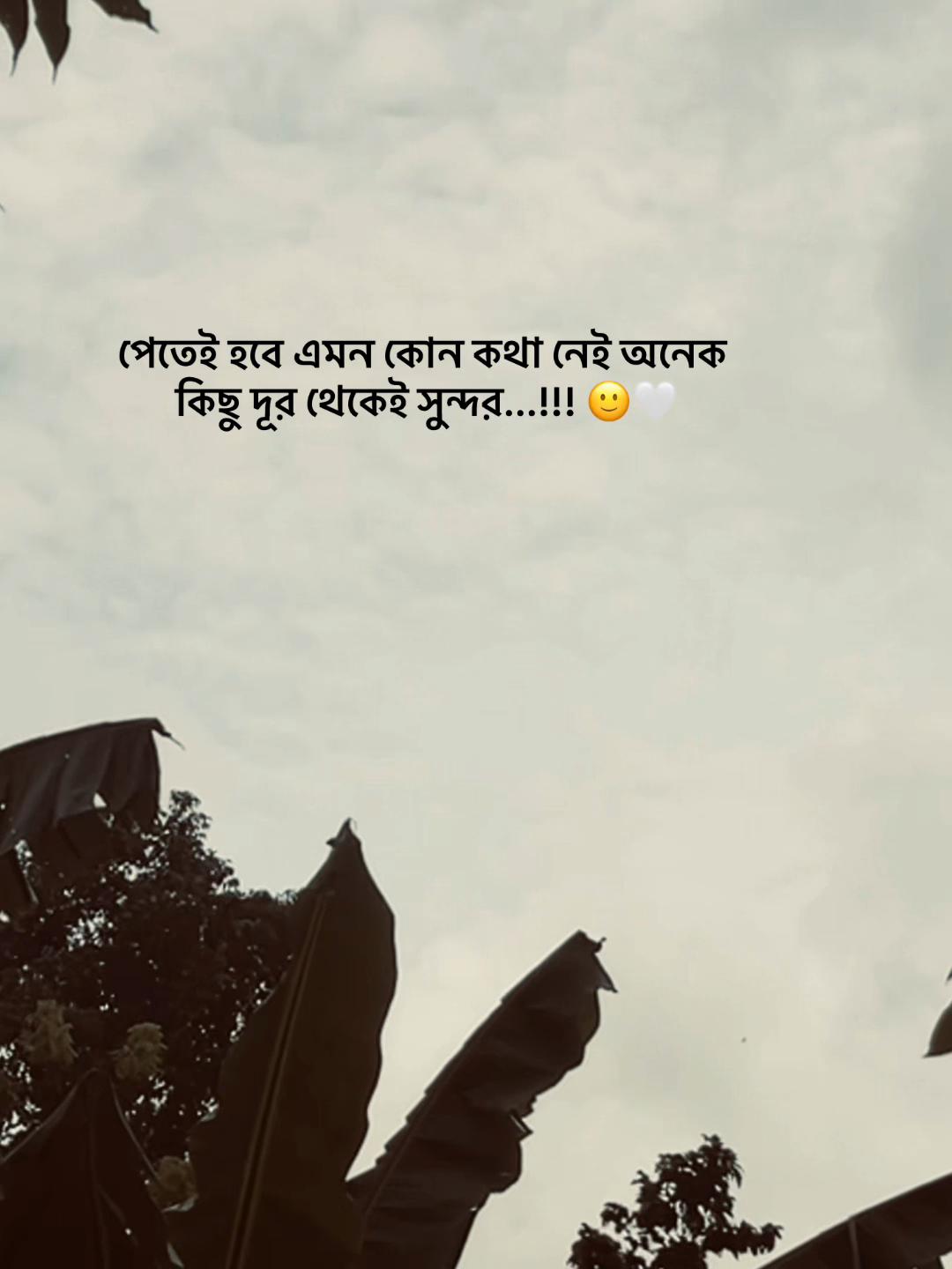 @S_A_Y_M_O_NđĨ°SAMMIHAđĨ°