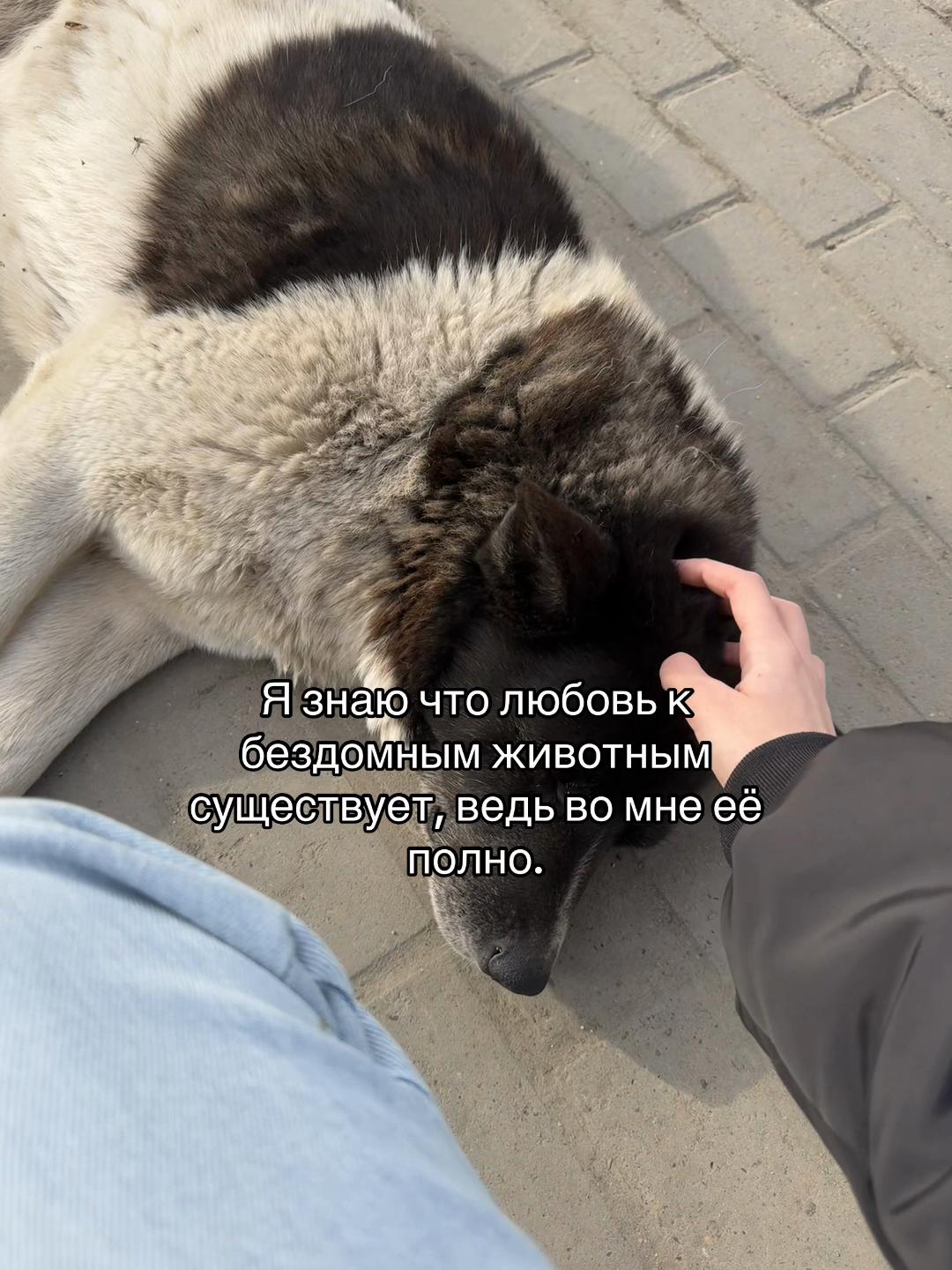 @Rinä 🂱