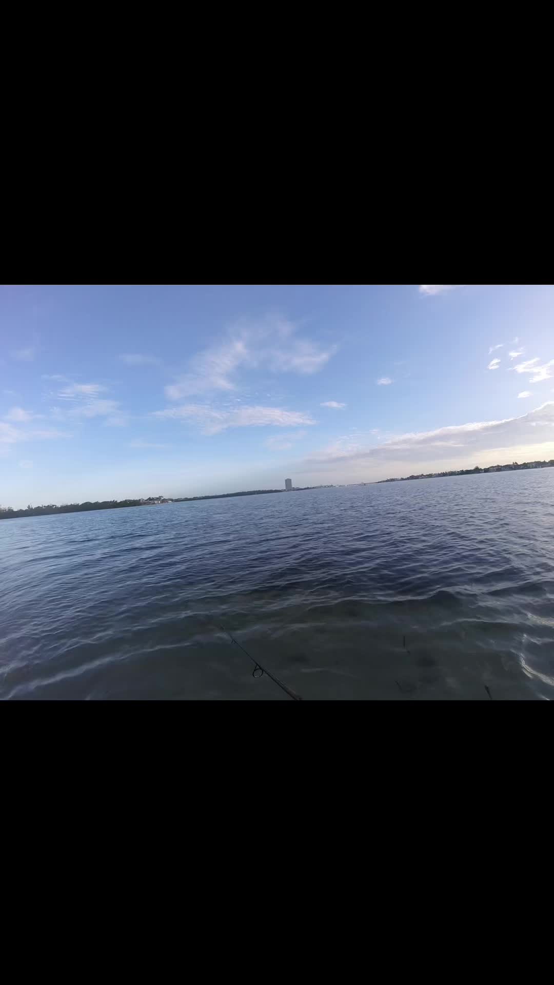 @Gotitfishing