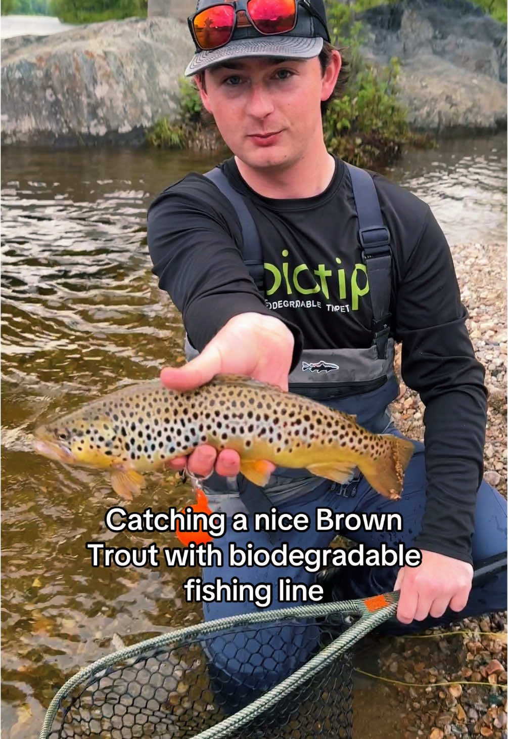 @biotip