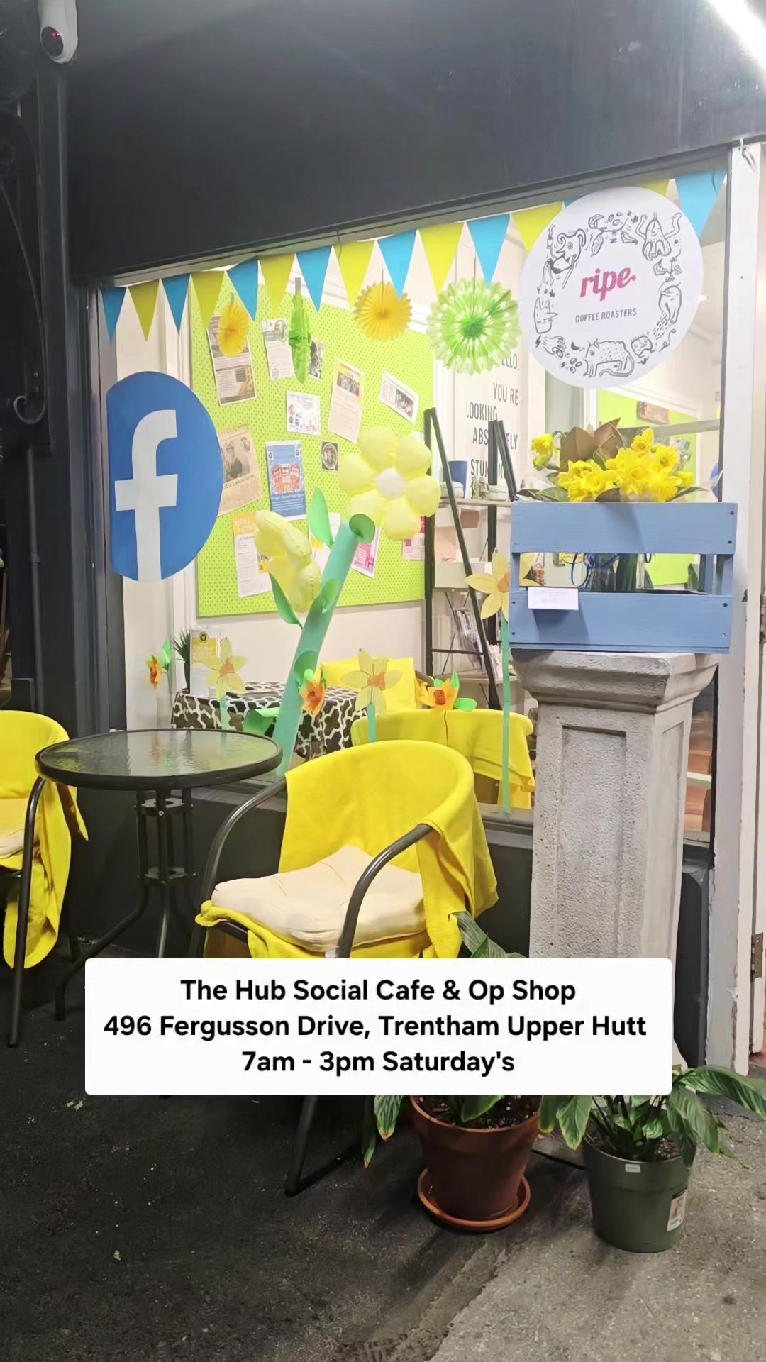 @The Hub Social - Wellington NZ
