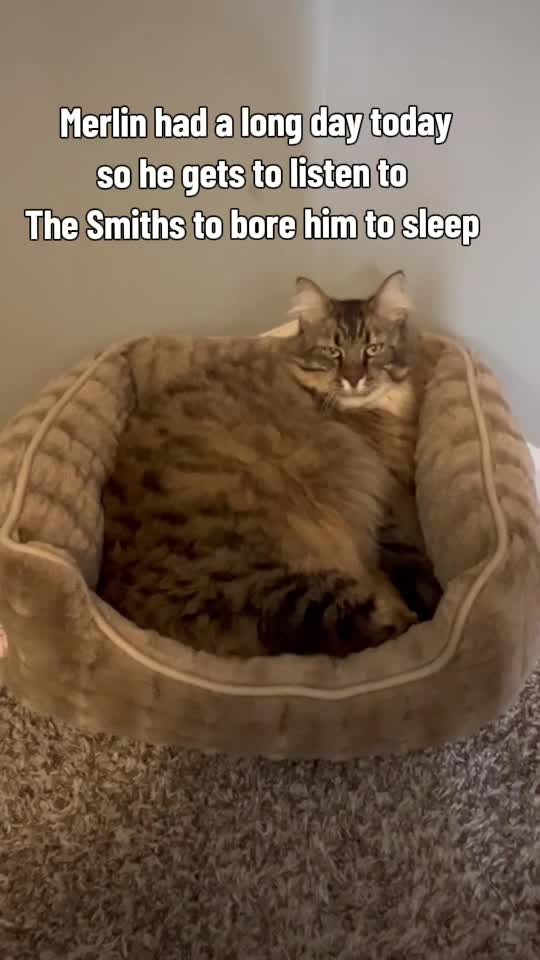 @rogerbiscuits