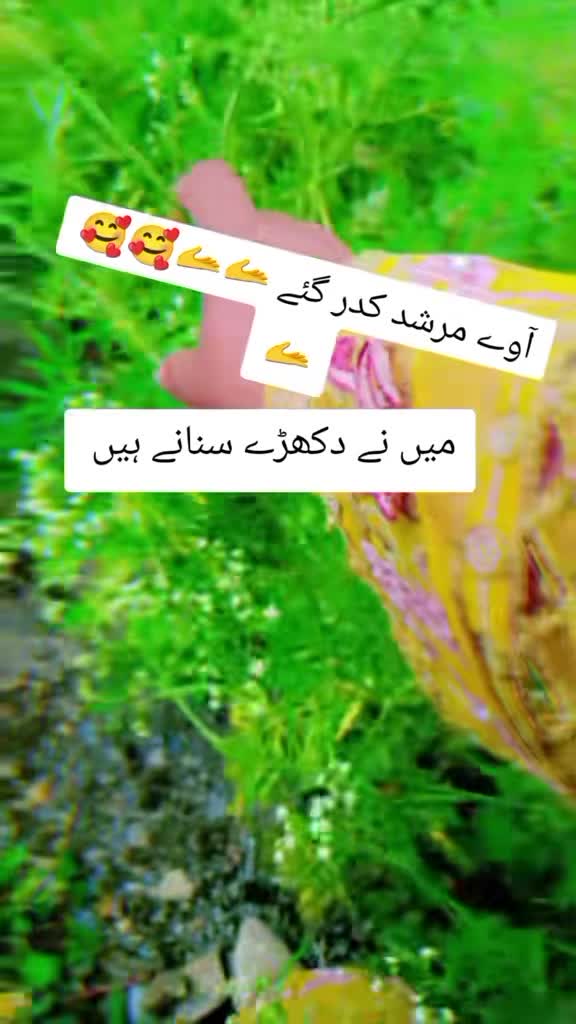 @Teacher ho1