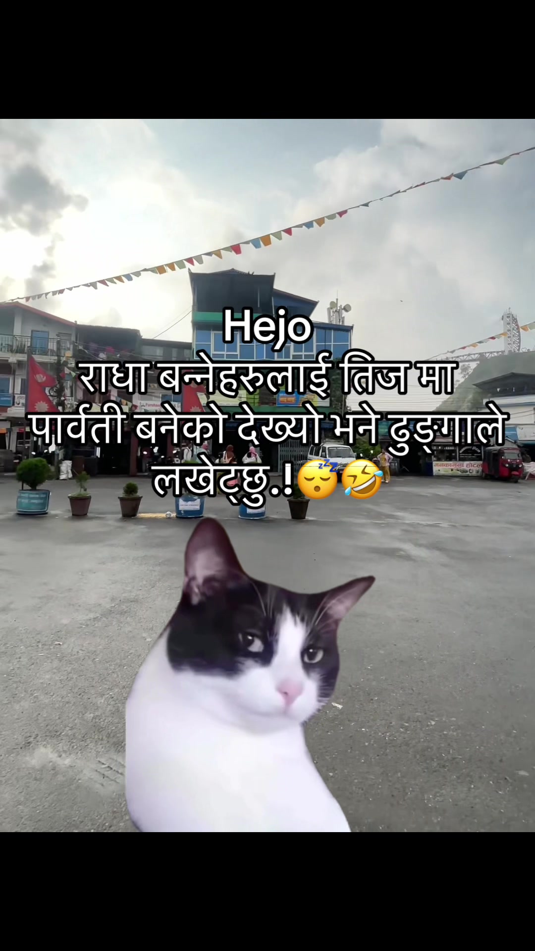 @अजय राज धामी  🇵🇹