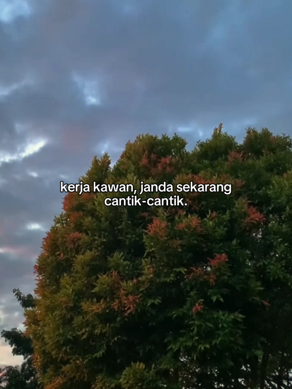 @ebon