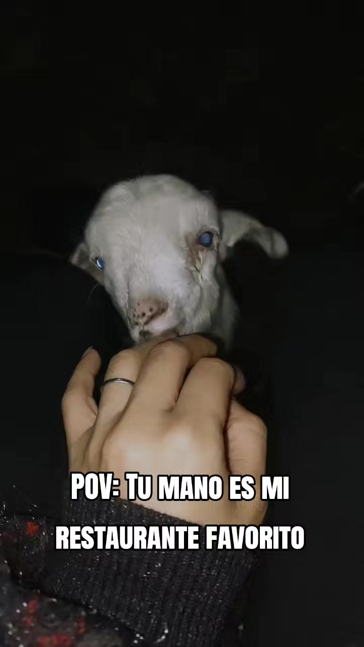 @minombreesNAITHAN 💎