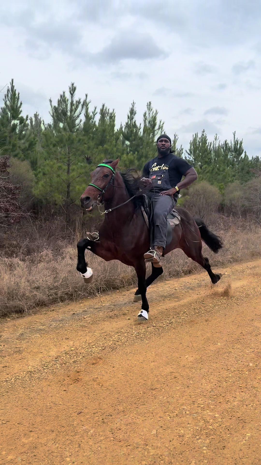 @Devin White ๐ GetLiveStables