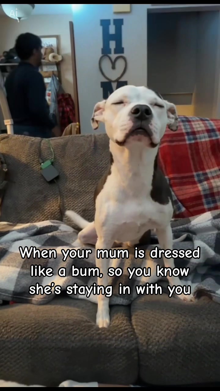 @Amanda Ash