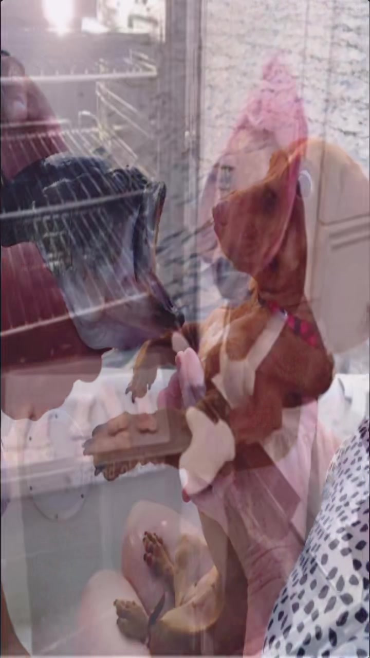 @multiplatvid