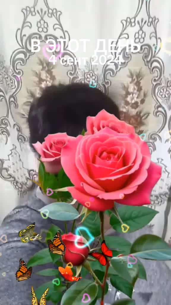 @Сергей сазанов