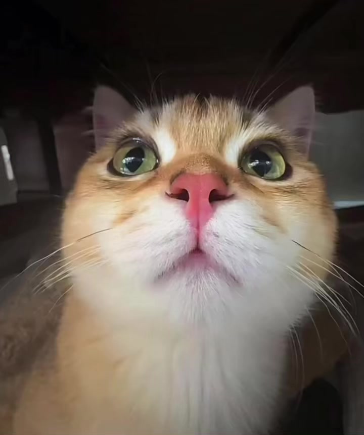 @☆〜(ゝ。∂)