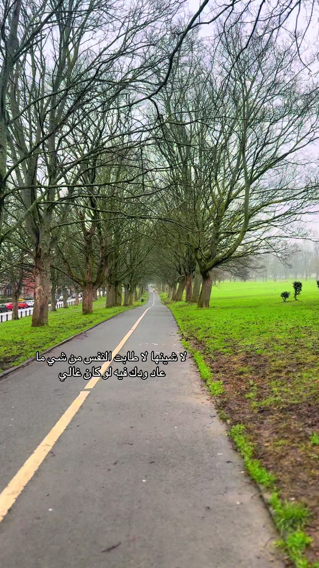 @تغطيات سارة 🛍