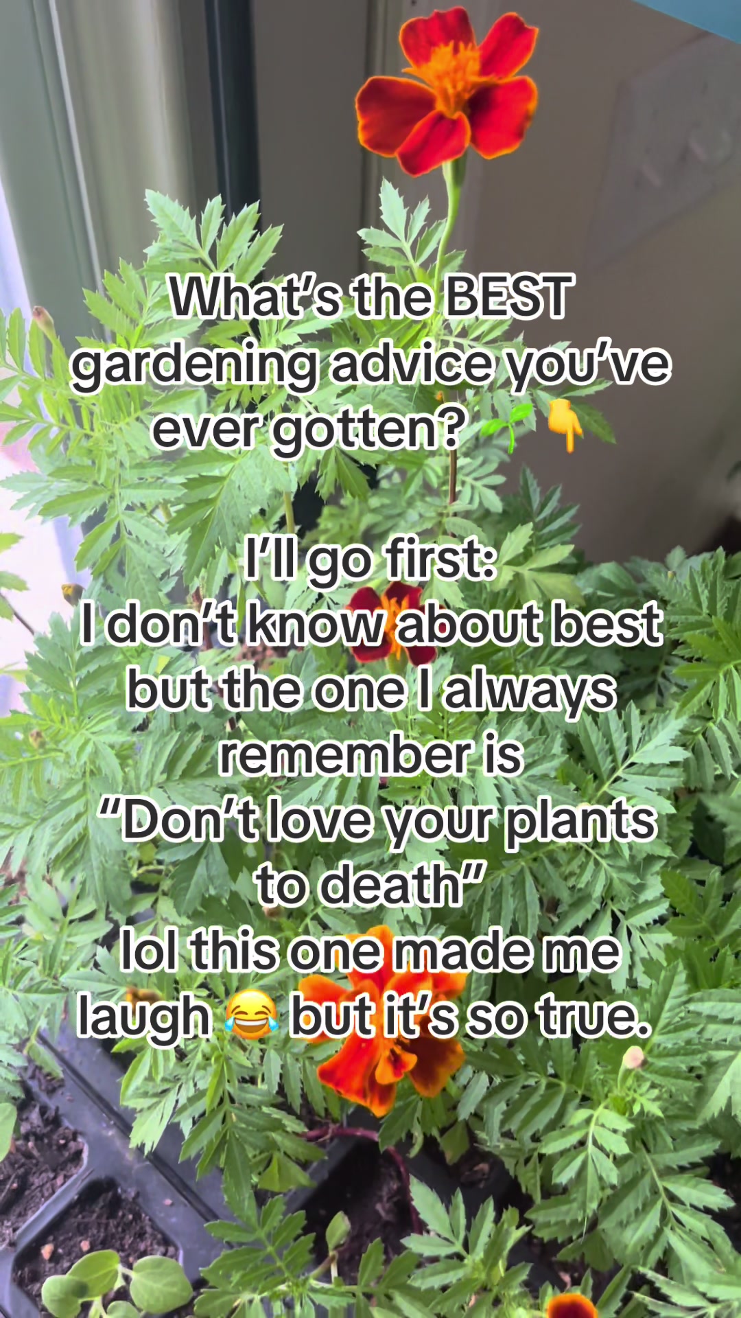 @probablyoverwatering