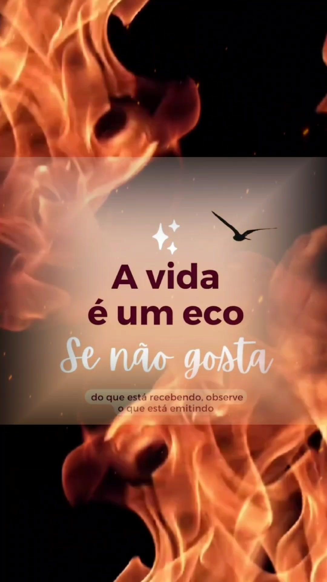 @Vanessa Fraga