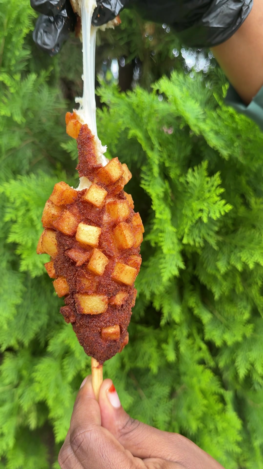 @CRISPY CORNDOGS