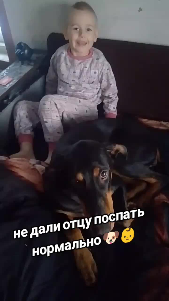 @̴Д̴О̴Б̴Е̴Р̴М̴А̴Н ̴А̴Л̴Ь̴М̴А🖤