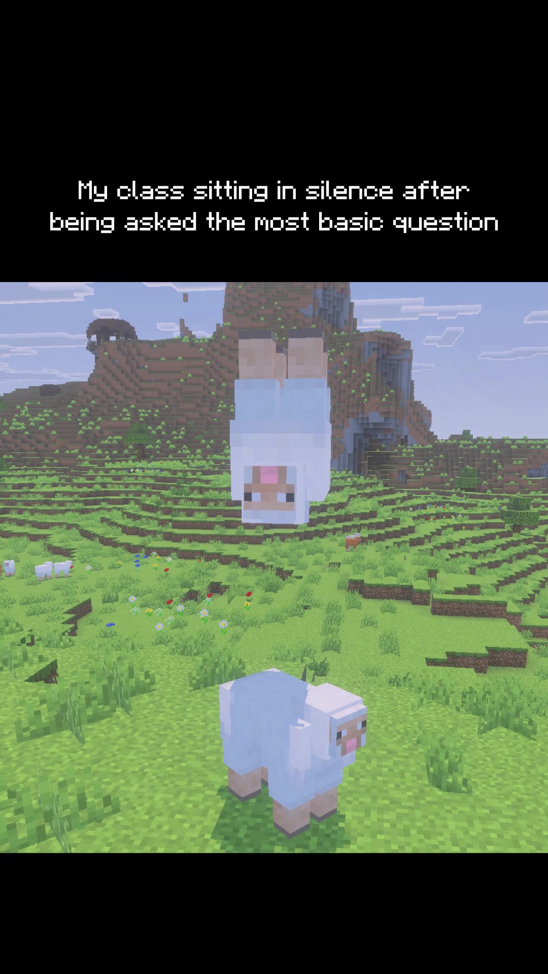 @Minecraft