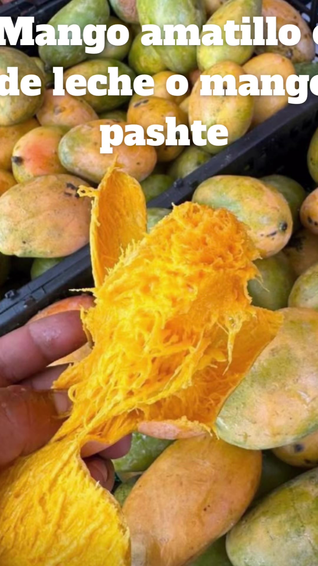 @Isabella