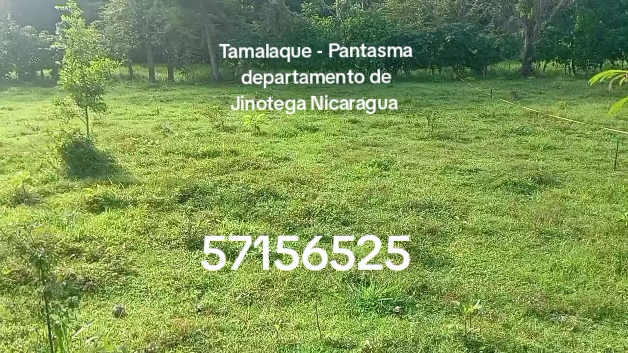 @Luis Manuel Rivera