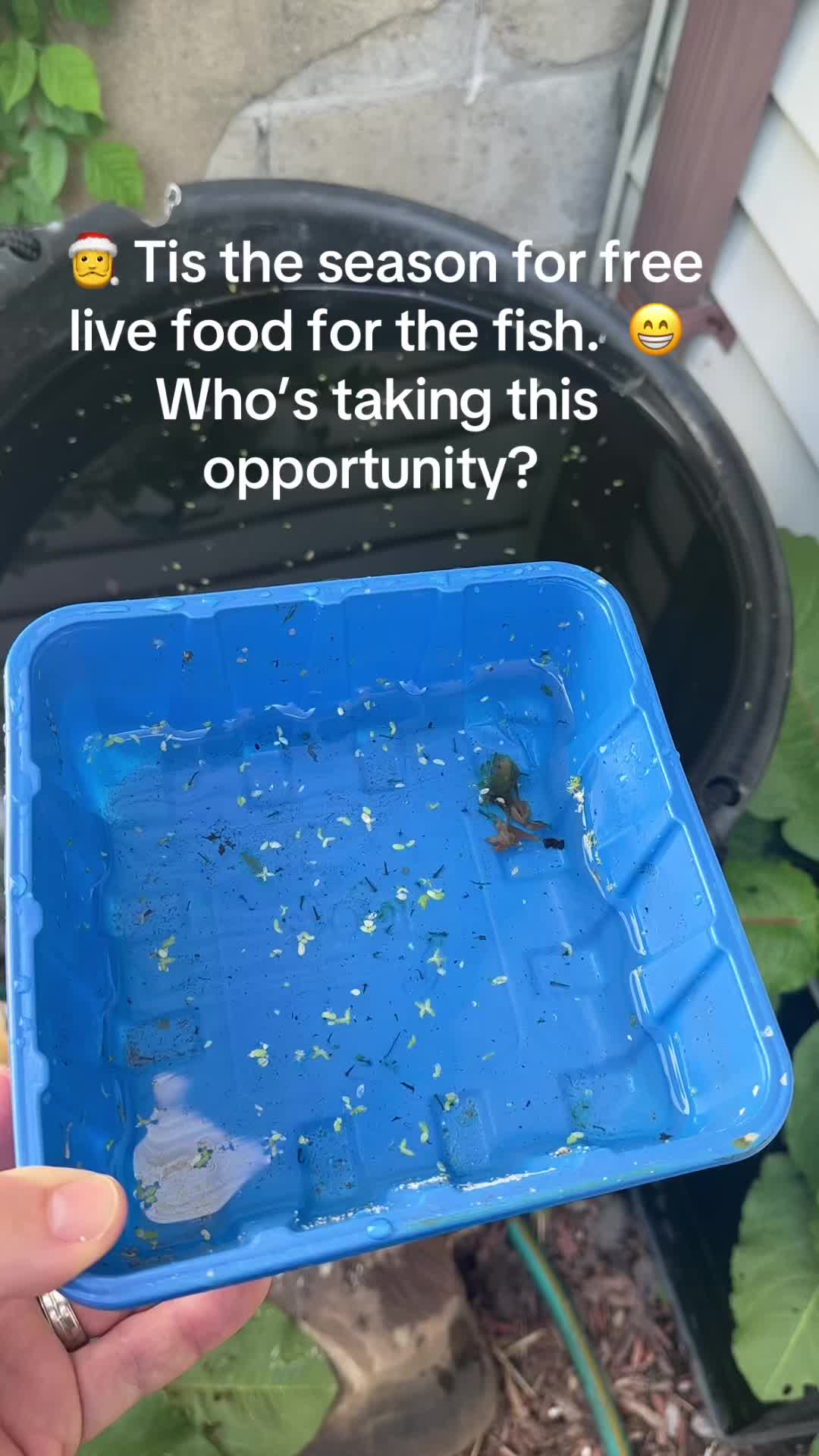 @Orange Aquatics ๐