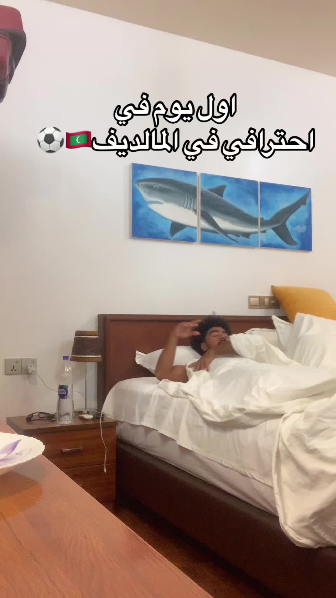 @Ahmed Dahesh