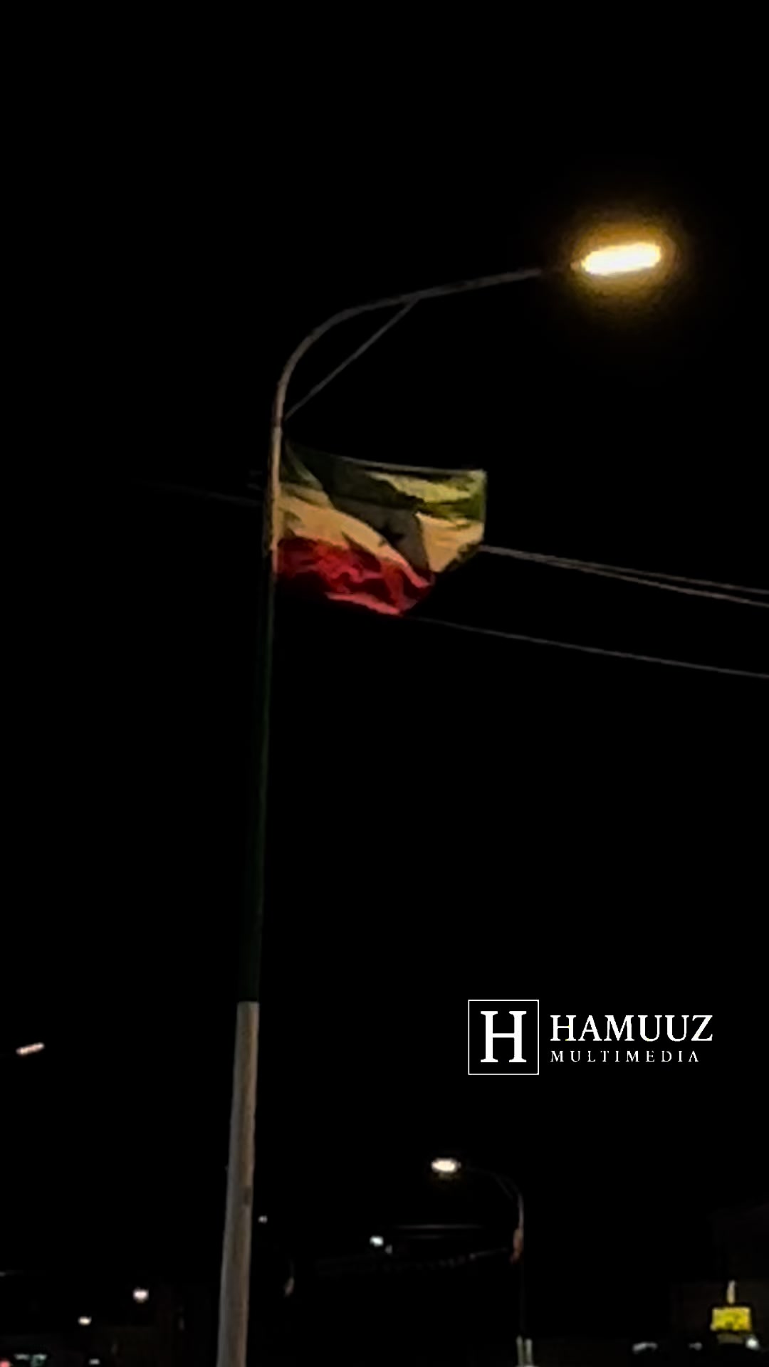 @Hamuuz🎥