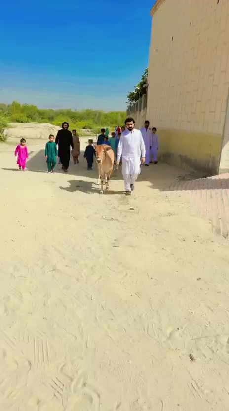 @Safiullahmarwat333
