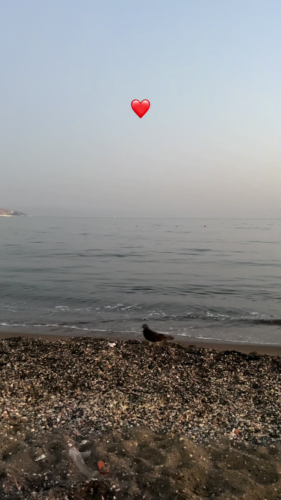 @❤️